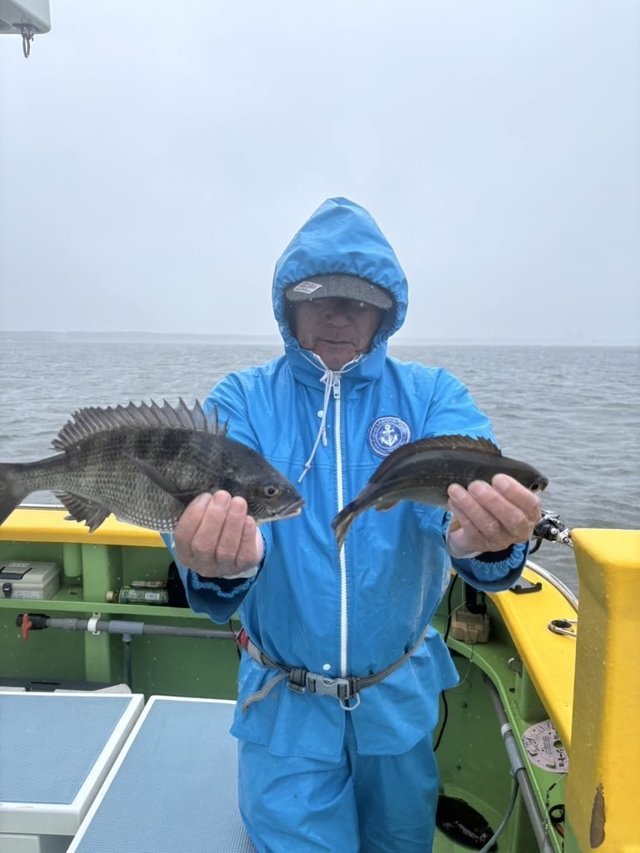 クロダイ・イサキ