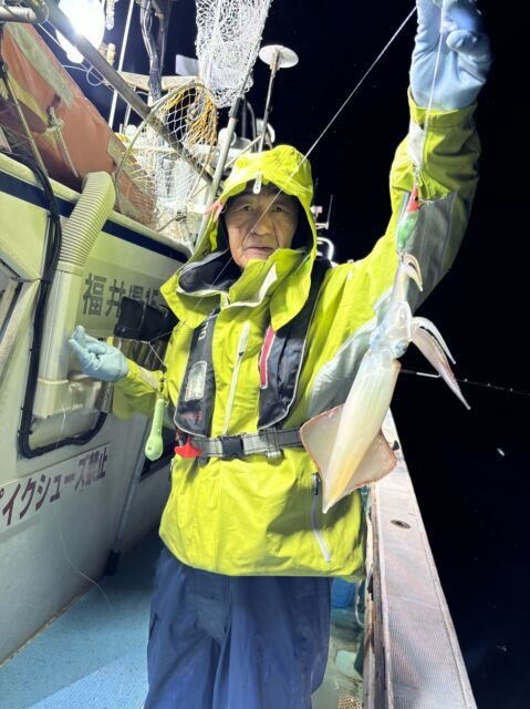 マイカ(ケンサキイカ)