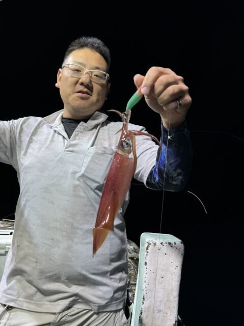 マイカ(ケンサキイカ)