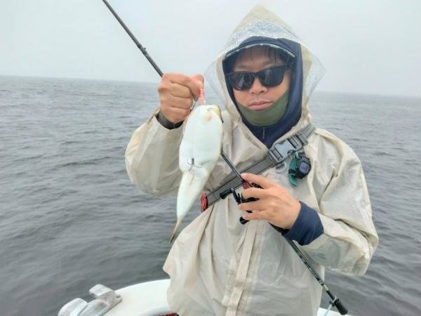 ショウサイフグ