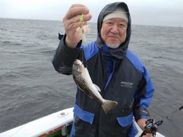 ショウサイフグ