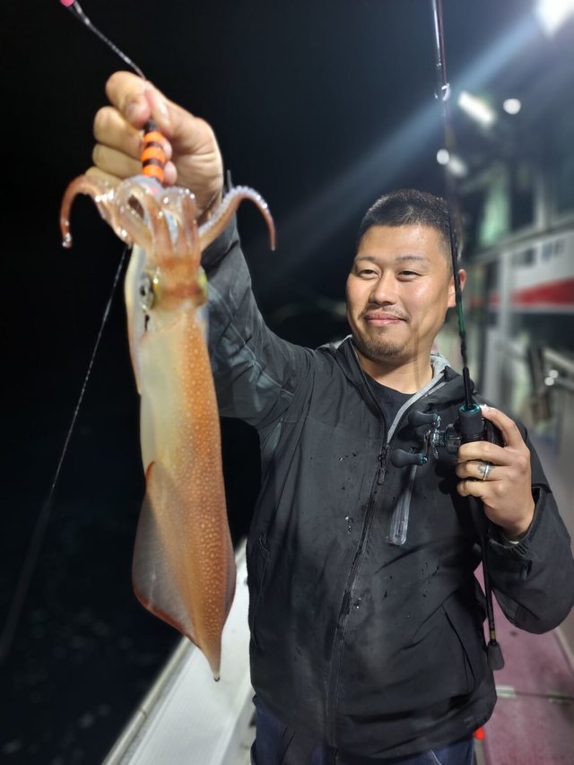 イカ(ヤリイカ)