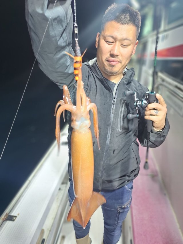 スルメ(スルメイカ)