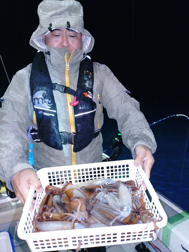 ムギイカ(スルメイカ)