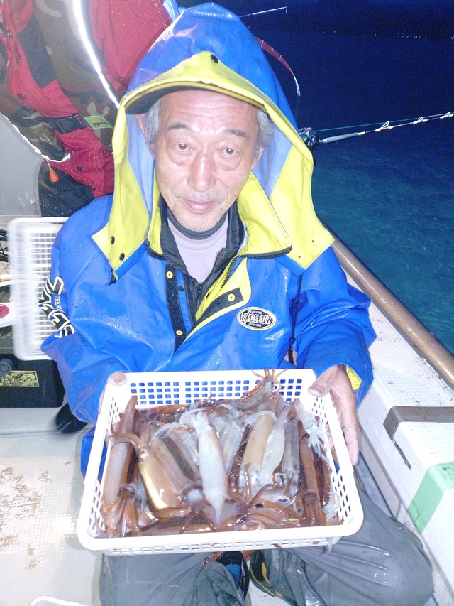 ムギイカ(スルメイカ)