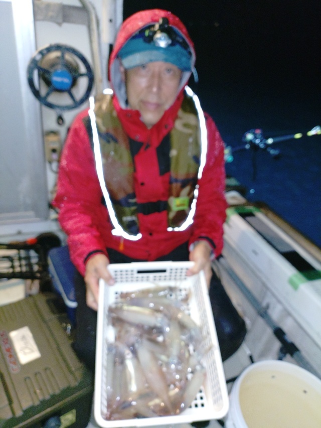 ムギイカ(スルメイカ)