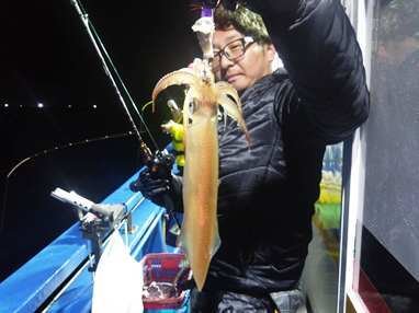 マイカ(ケンサキイカ)