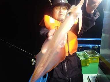 マイカ(ケンサキイカ)