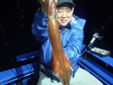 マイカ(ケンサキイカ)