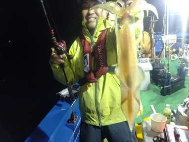 マイカ(ケンサキイカ)