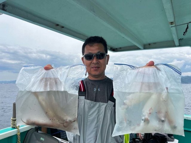 マルイカ(ケンサキイカ)・ムギイカ(スルメイカ)