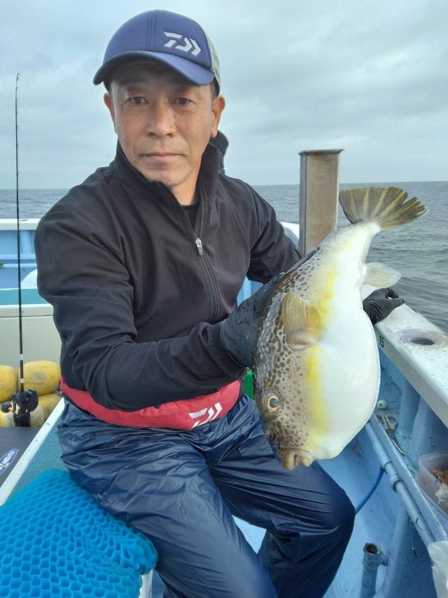 ショウサイフグ