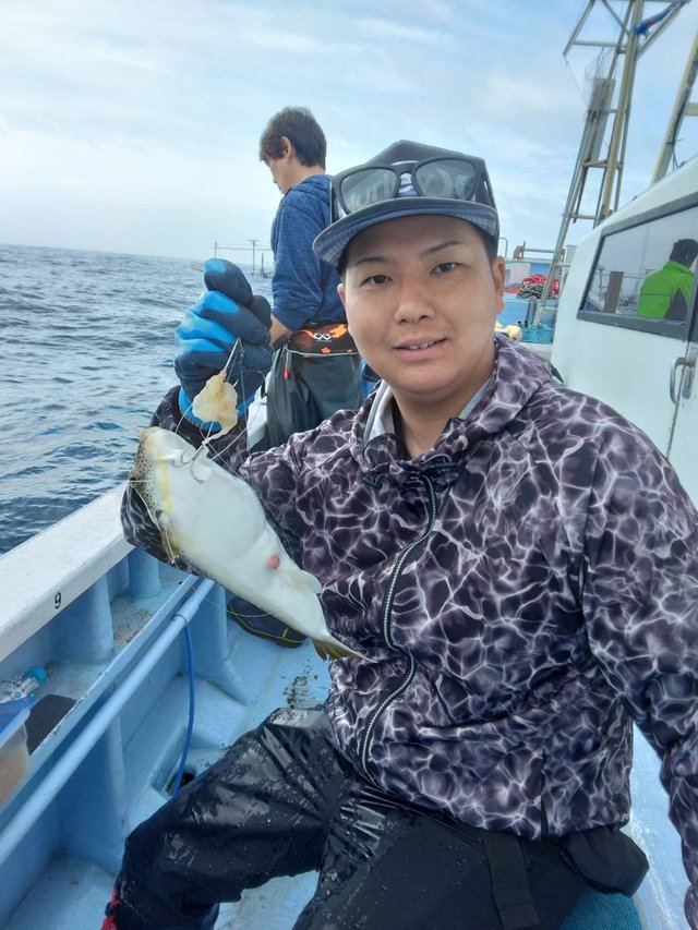 ショウサイフグ