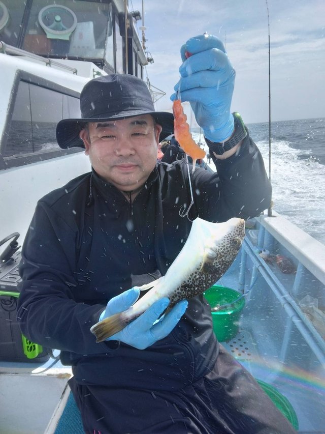 ショウサイフグ