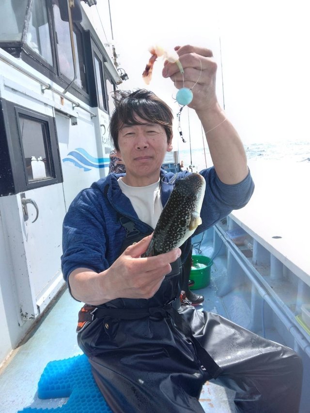 ショウサイフグ