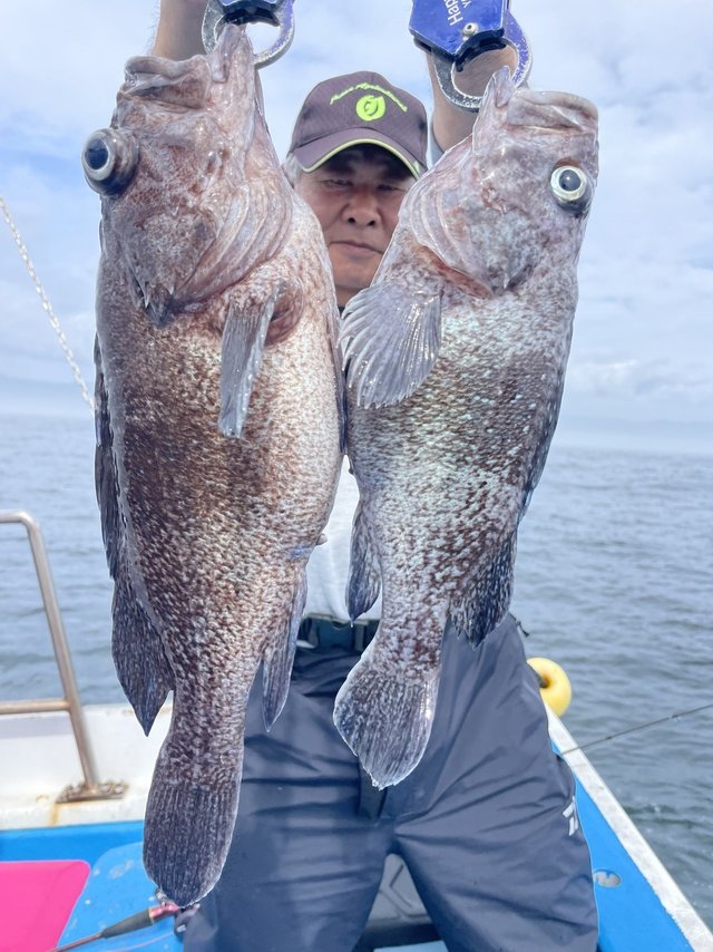 マゾイ(キツネメバル)