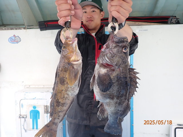 マゾイ(キツネメバル)・アイナメ