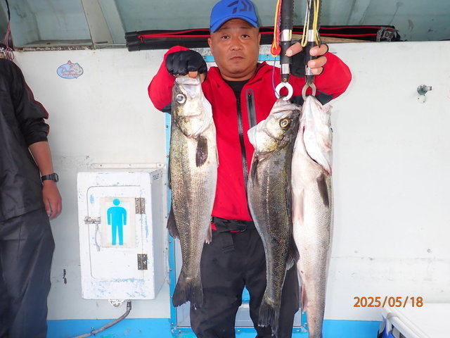 シーバス(スズキ)