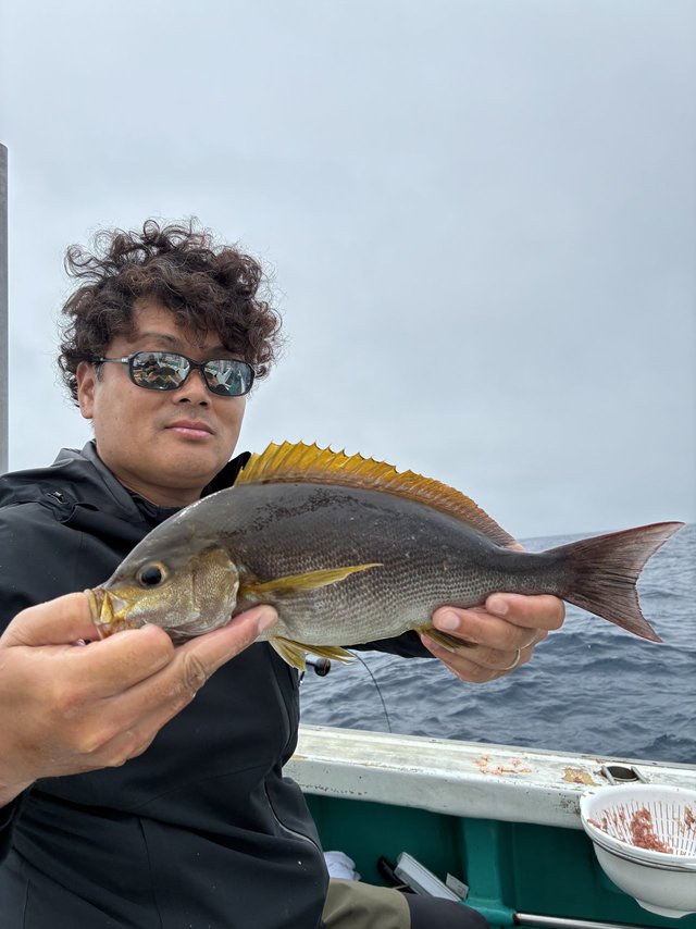 イサギ(イサキ)