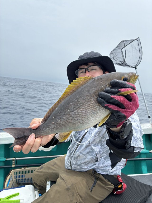 イサギ(イサキ)