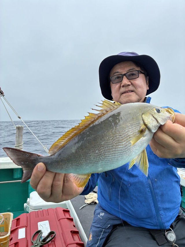 イサギ(イサキ)