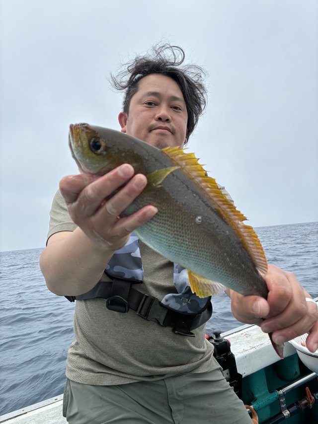 イサギ(イサキ)