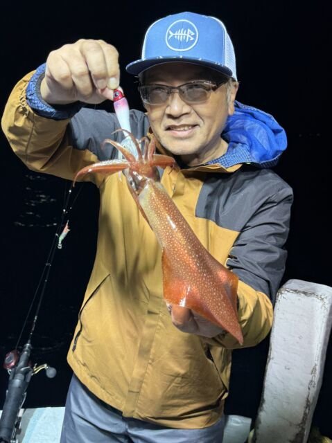 マイカ(ケンサキイカ)