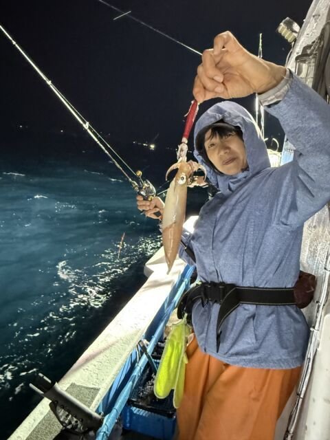 マイカ(ケンサキイカ)