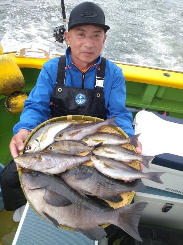 メジナ・イサキ