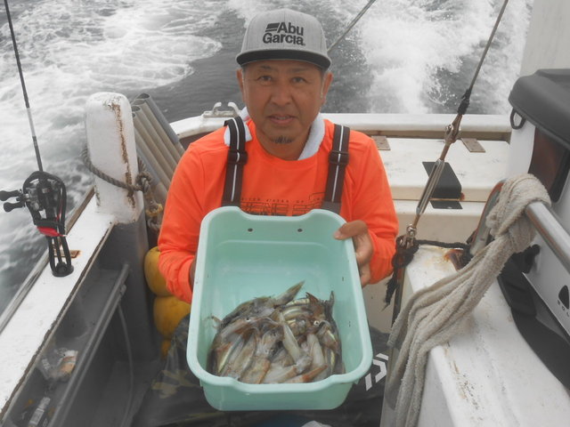 ムギイカ(スルメイカ)