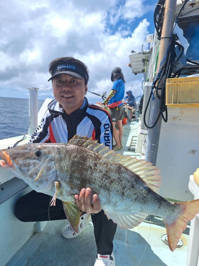 フエフキ(ハマフエフキ)