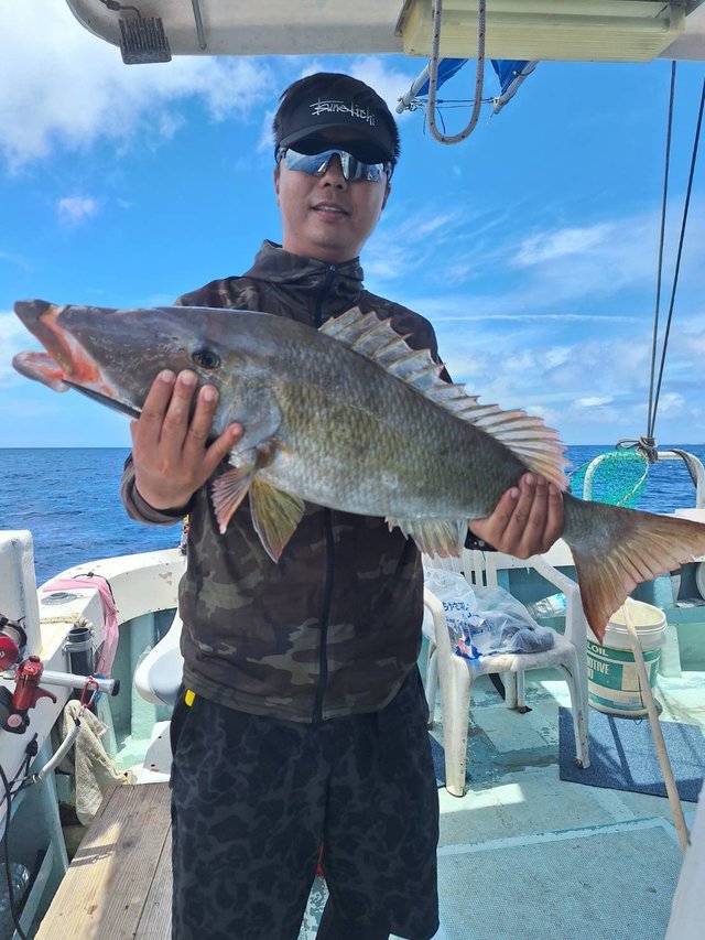 キツネフエフキ