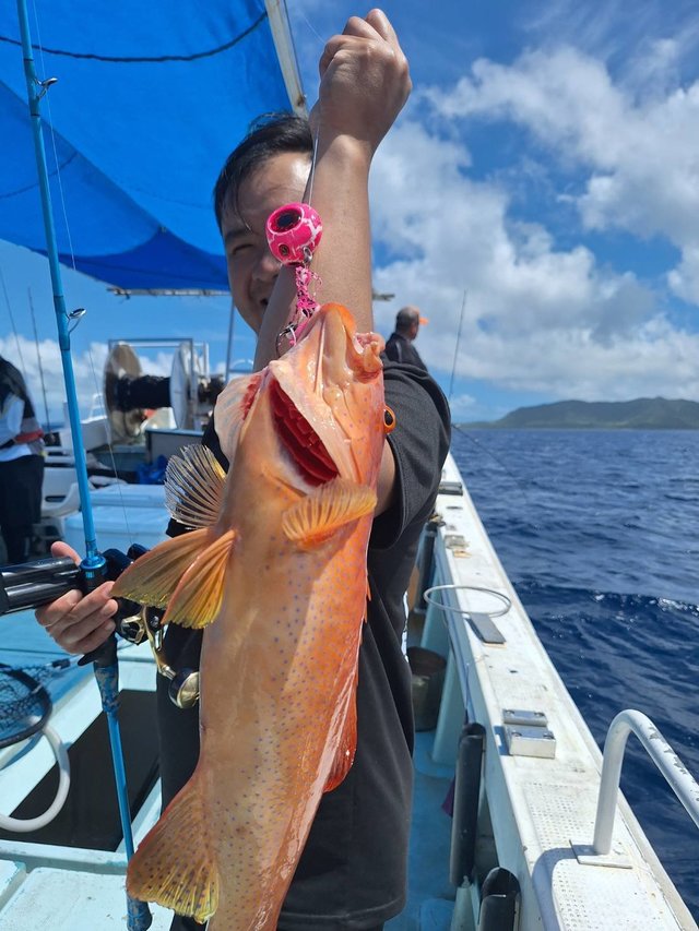 アカジン(スジアラ)