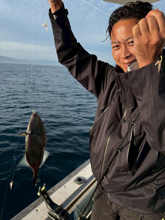 ウマヅラ(ウマヅラハギ)