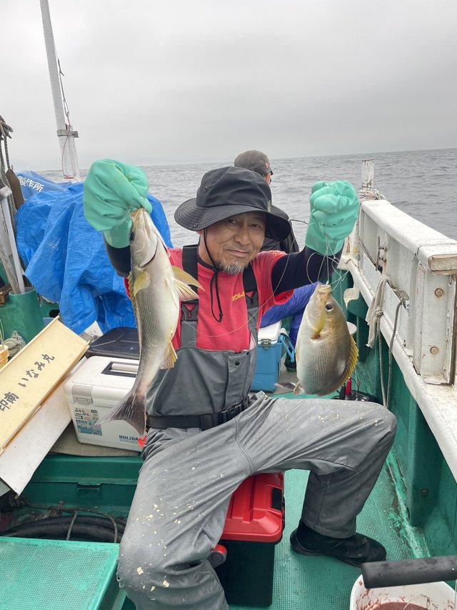 イサギ(イサキ)