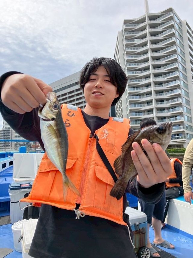 アジ(マアジ)・メバル