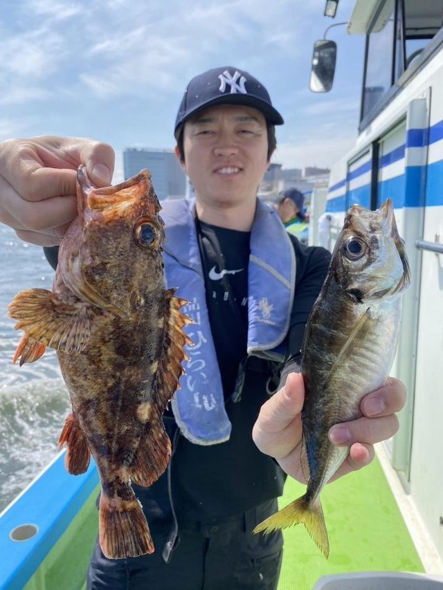 アジ(マアジ)・カサゴ