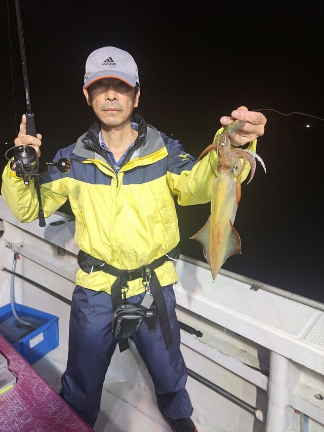 マイカ(ケンサキイカ)