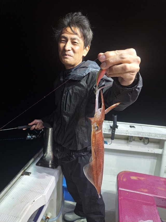 マイカ(ケンサキイカ)