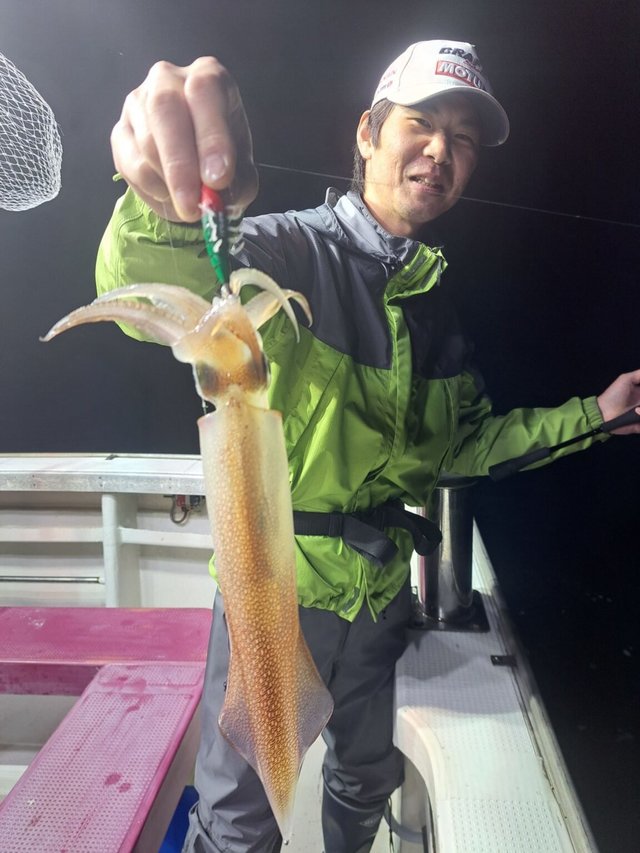 マイカ(ケンサキイカ)