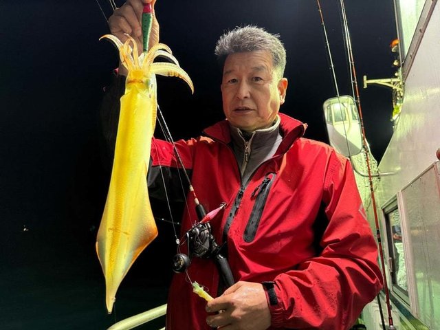 ケンサキ(ケンサキイカ)