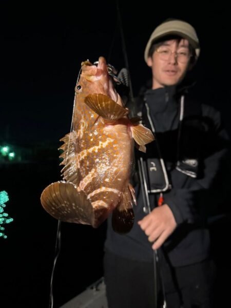 アコウ(キジハタ)