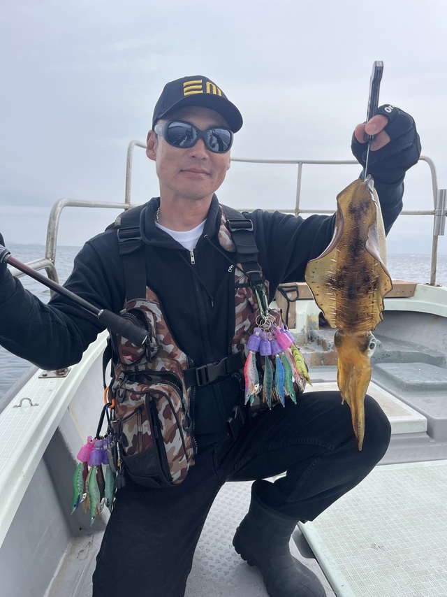 イカ(アオリイカ)