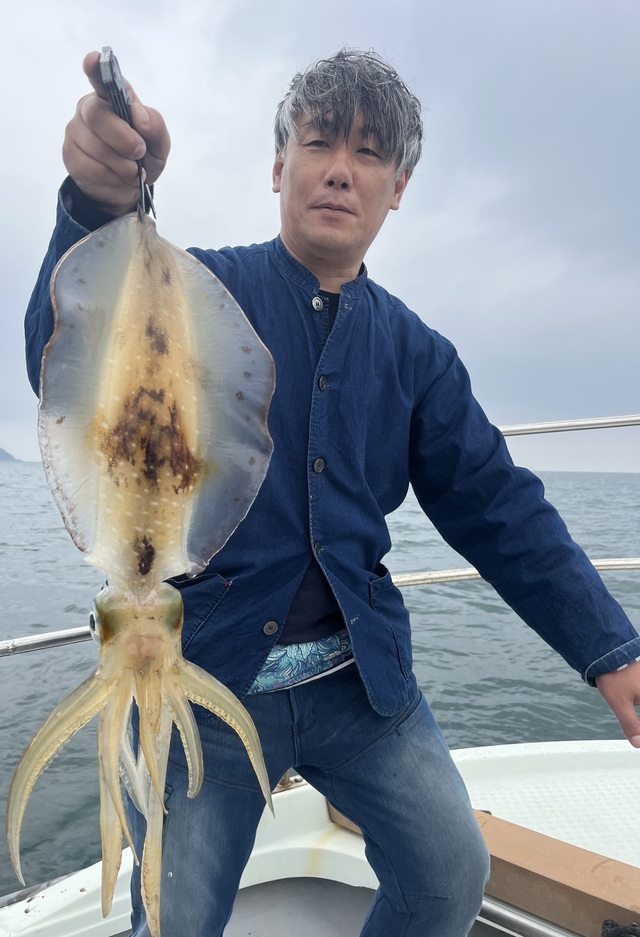 イカ(アオリイカ)