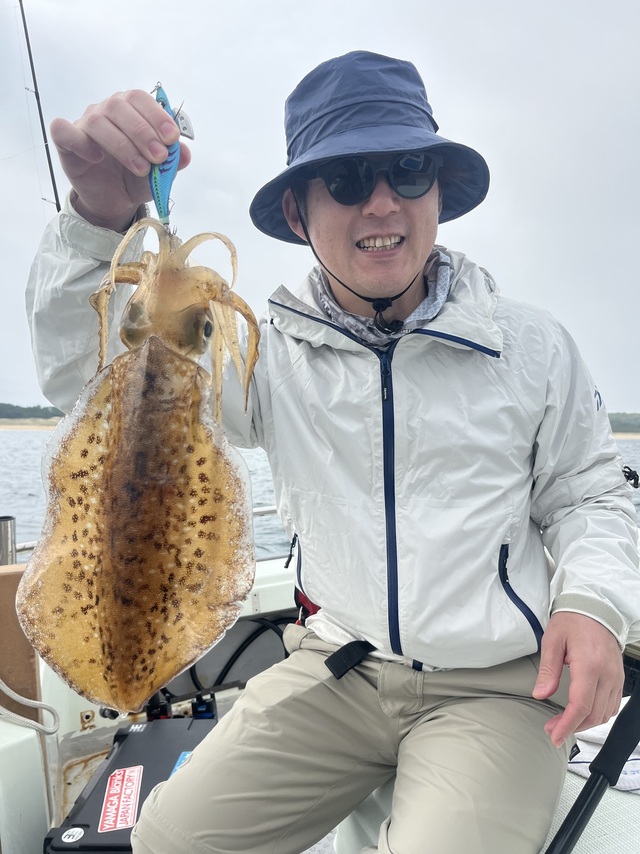 イカ(アオリイカ)