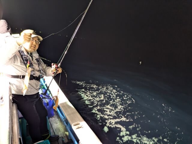 マイカ(ケンサキイカ)