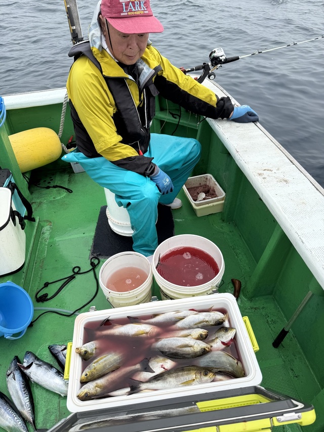 イサギ(イサキ)