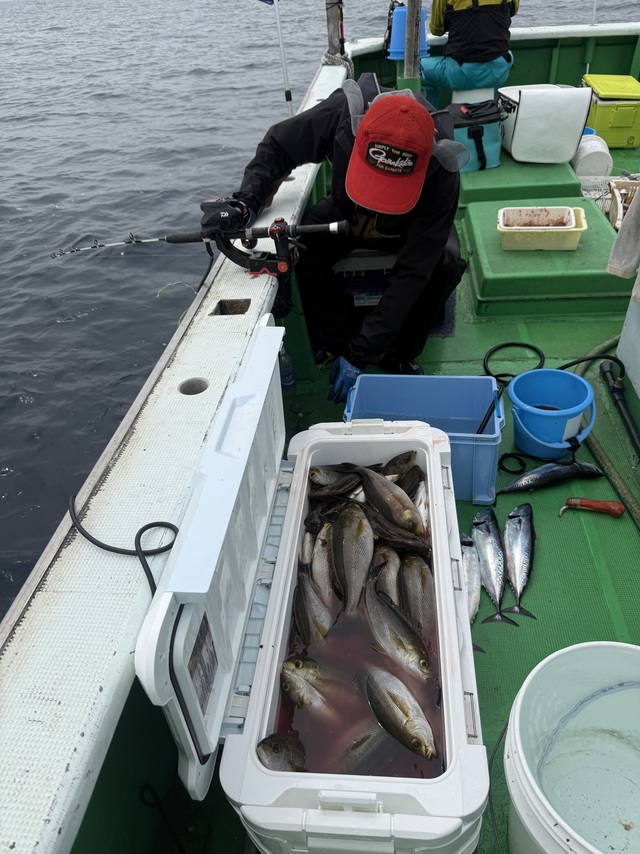 イサギ(イサキ)