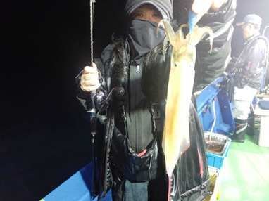 マイカ(ケンサキイカ)