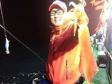 マイカ(ケンサキイカ)